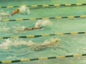 Mercersburg Meet --Julia 50 Buterfly
