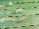 Mercersburg Meet --Julia 50 Buterfly