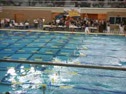 TAPPS State 2008 - 100 Breast