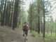 7_28_09 Mammoth Mtn Bike