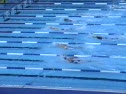 tyler 400 Free
