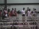 Roman/IWU 55 hurdles
