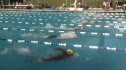 m club 100 lcm fly final hb d2
