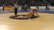 112lbs Steve Godine (Whippany Park) vs. Dan Pak (Delran)