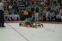 Andrew Cornell Long Branch Tom DiVitantonio High Point 