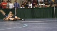 157 lbs college match, Dan Rivera, ODU vs Michael Chandler, MIssouri,