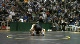 165lbs Ryan Morningstar Iowa- vs. Brian Letters Maryland-