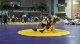 171lbs #9 Brad Hitchings Trinity- vs. #4 Tony Dallago Central Dauphin-