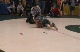 64lbs Ron Rickman - vs. Diego Gullen -