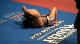 Johny Hendricks chokes someone out