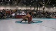 Nice shot, nice defense, real interesting reversal