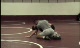St Paris Graham Breakdown