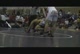 Joe Stolfi FL