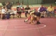 Team All American (NC) vs Team Lions (VA) 160lbs Part 2