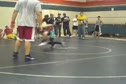 Halloween Havoc Sam semis MS103