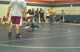 Halloween Havoc Sam semis MS103