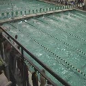 b11-12 cl 100 scy free final h1 d2