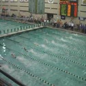 g13-14 cl 100 scy free final hA d4