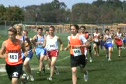 Cloverleaf videos