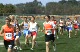 Cloverleaf videos