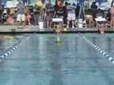 081108 100 Fly