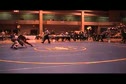 Vetterlein (DBP) vs Reid  (B) BCCA 215