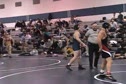 Volpe vs Hamman