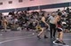 Volpe vs Hamman