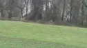 Pacers/MCRRC Cross Country Invitational-Men's Race