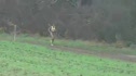 Pacers/MCRRC Cross Country Invitational-Women's Race