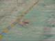 Backstroke Set_0002