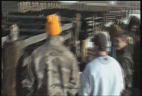 Team Cattle Branding
