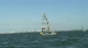 49er Day 2 Race 3