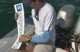 Applying the Stickers