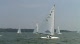 C Scow Final Race