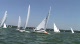 C Scows Race 1