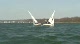 Day 2 - Race 12B