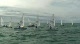 Day 4 - Radial Gold 8