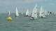 Day 4 - Radial Gold 9