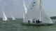 E Scows Race 4