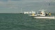 Full Rig Blue Race 5 Full Rig Blue Race 5