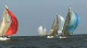 IRC East Coast Championship Highlights