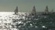 Laser 4.7 Race 9