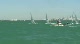 Laser Radial Medal Race