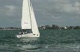 Match Race Semifinals - Tunnicliffe vs Souter Race 4 pt 3