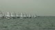 Opti Race 2 - Purple-Yellow