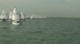 Opti Race 2 - Teal-Pink