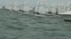 Opti Race 4 - Pink-Yellow