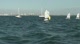 Opti Race 5 - Purple-Teal