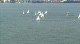 Race 1A... Sort of